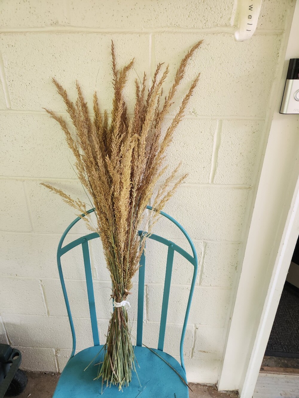 Real Dried Grass 2 1/ 2 Feet Tall